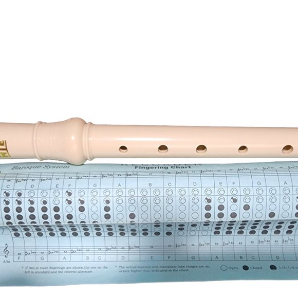 HTE 175W Soprano Recorder and Case - Picture 3 of 5